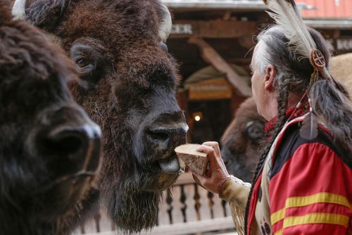 Indianer füttert Bison