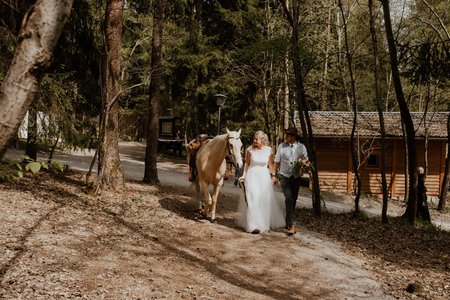 Brautpaar führen Pferd über Waldweg
