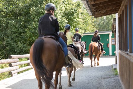 vier Menschen reiten auf Pferden durch den Park