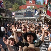 Line Dance-Special Line Dance-Special