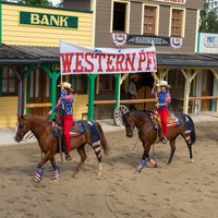 Western horse