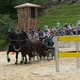 Pferde ziehen Kutsche durch Sand bei der Show „Dicke unter Dampf“