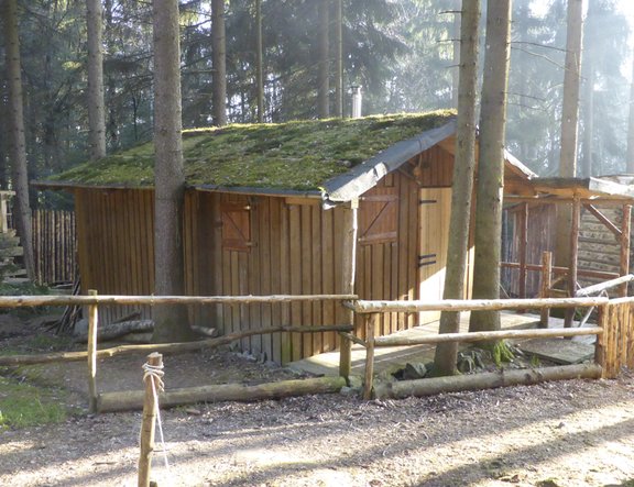 Holzhütte im Wald mit bemoostem Dach