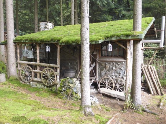 Haus aus Stein im Wald
