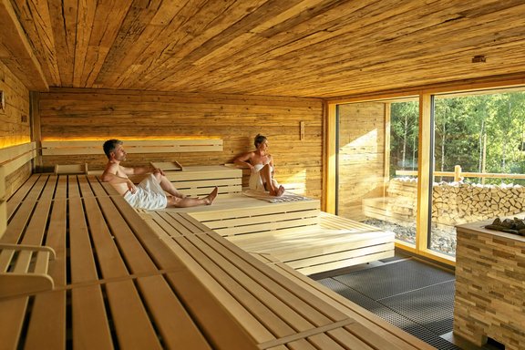 Zwei Männer in einer Sauna mit Panoramablick
