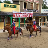 Westernpferd Westernpferd