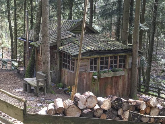 Holzhütte in Wald mit Holzstoß