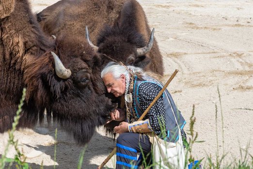 Indianer kniet vor Bison