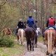 Menschen reiten auf ihren Pferden durch den bayerischen Wald