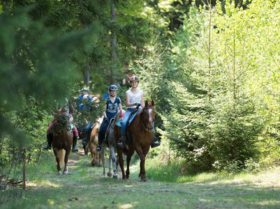 Personen reiten auf Pferden auf einem Waldweg
